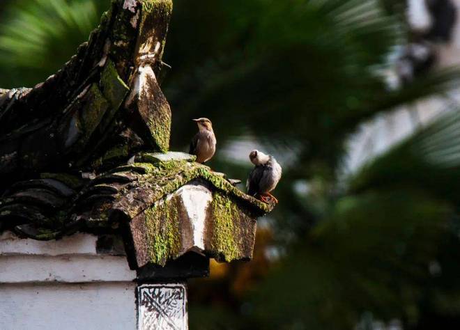 楼市聚焦♐保利外滩曜售楼处发布：保利外滩曜打造舒适生活(图20)