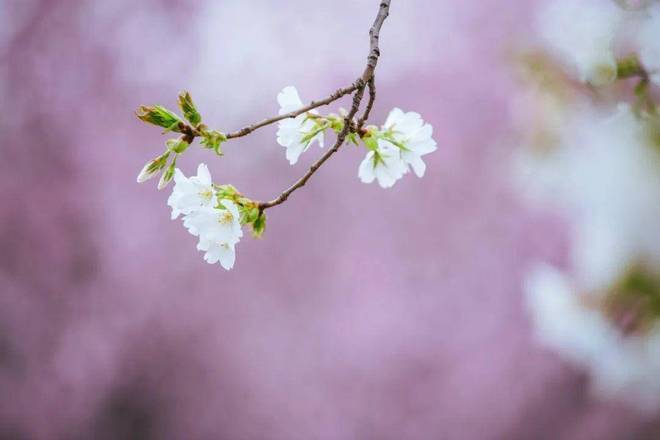 楼市聚焦♐保利外滩曜售楼处发布：保利外滩曜打造舒适生活(图24)