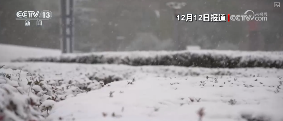 多部门以“雪”为令协同联动保畅通、保民生全力护航百姓生产生活平稳有序(图4)