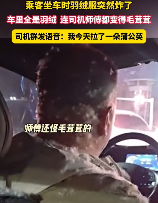 笑死！男子乘网约车羽绒服在车内炸裂司机笑称拉了一朵蒲公英