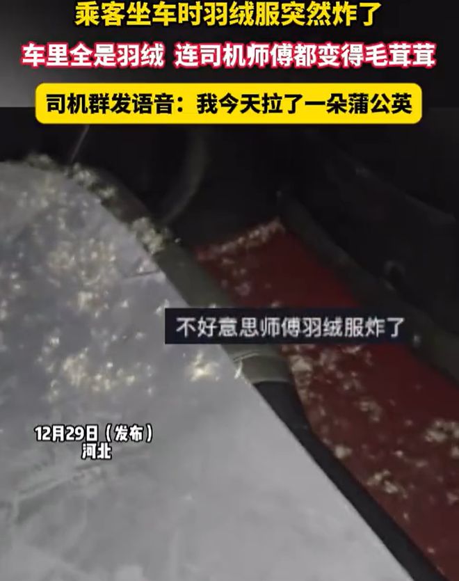 笑死！男子乘网约车羽绒服在车内炸裂司机笑称拉了一朵蒲公英(图2)