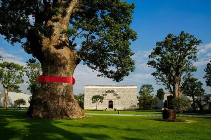 尚园售楼处│尚园(营销中心)-2026销售中心(售楼处)-楼盘欢迎您-价格户型地址环境配套交房时间电话(图12)