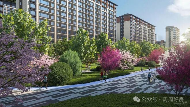 ₰今日聚焦金融街武夷融御售楼处：武夷融御开启生活新篇章(图14)