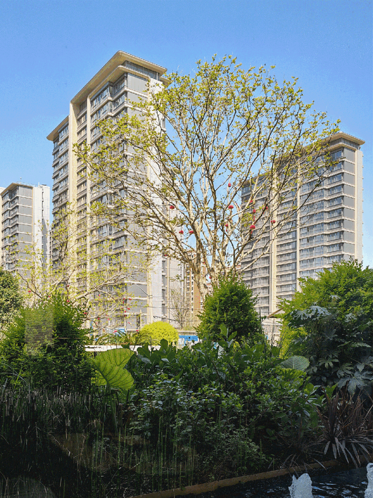 中环桃源里(售楼处)-2026年中环桃源里销售中心电话-环境-户型-价格-地址-楼盘详情-配套-电话-交房时间-配套-(图11)