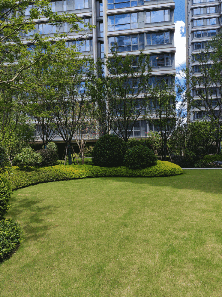 中环桃源里(售楼处)-2026年中环桃源里销售中心电话-环境-户型-价格-地址-楼盘详情-配套-电话-交房时间-配套-(图12)