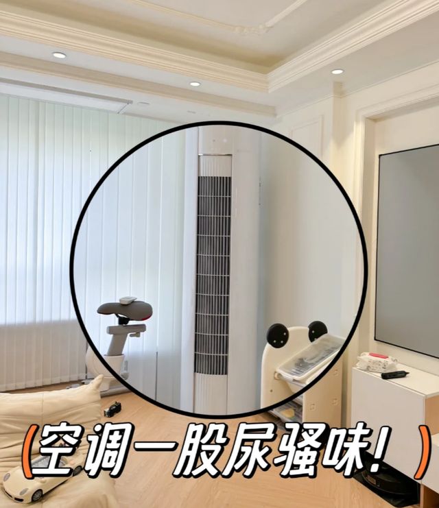 为什么空调会有股臭味？不止是脏“根本原因”很多人都没想到！(图2)