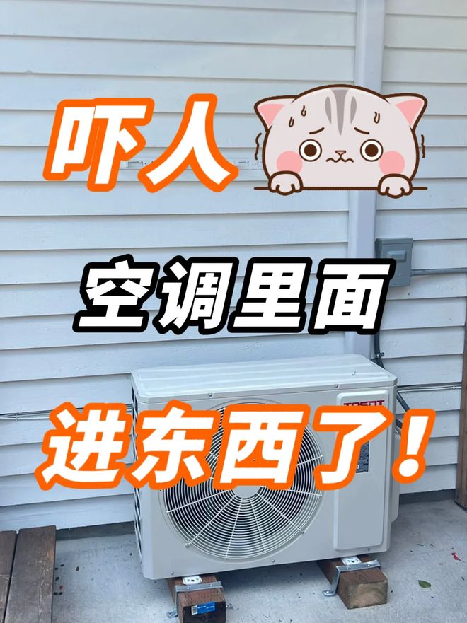 为什么空调会有股臭味？不止是脏“根本原因”很多人都没想到！(图25)